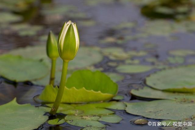 人在落魄的时候，会有这四种表现