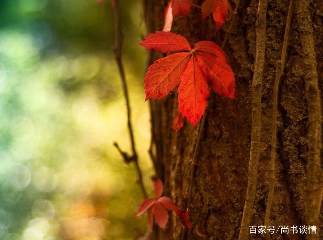 喜欢上这样的人，只会给自己添堵