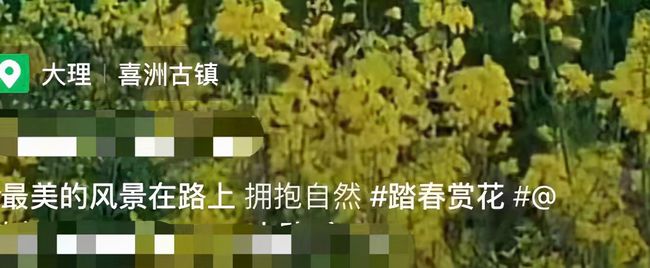 63岁杨丽萍现身油菜花田，网友：景美人更美