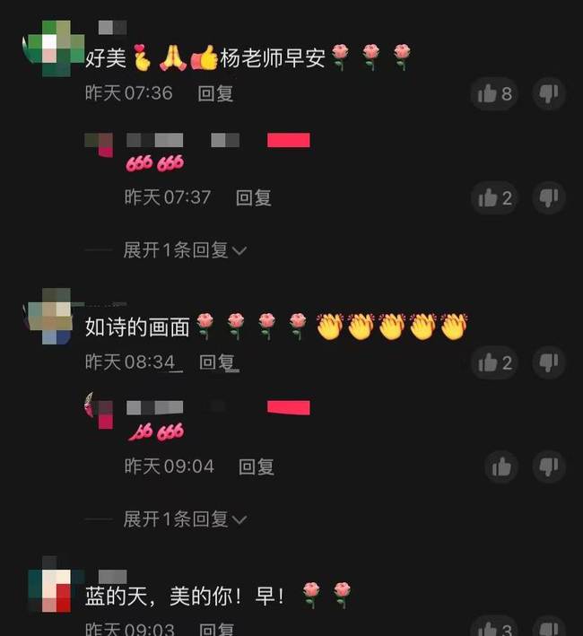 63岁杨丽萍现身油菜花田，网友：景美人更美