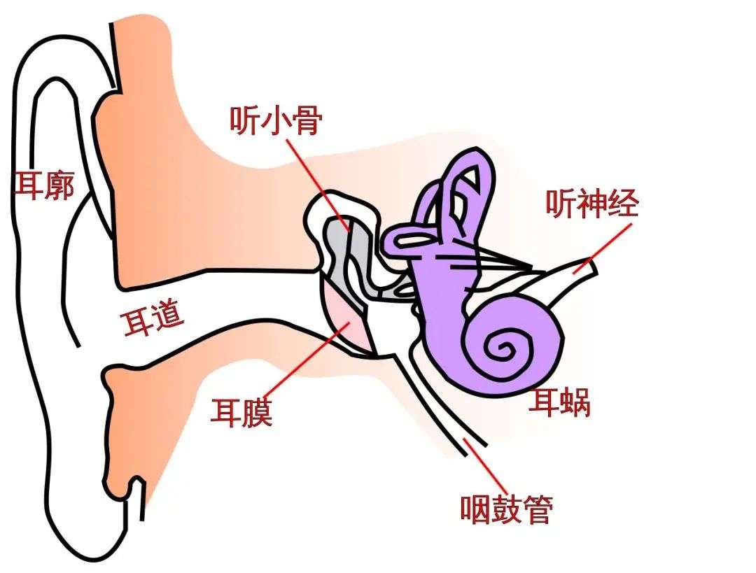 骨传导耳机会损伤听力吗？