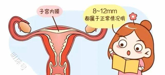 昆明送子鸟：子宫内膜多厚更有利于怀孕？