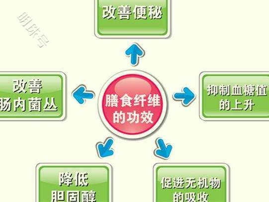 为什么减脂一直没如愿？科学使用代餐奶昔有时比加大运动量更关键