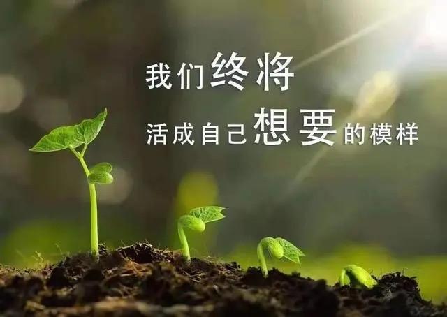 自律是一种信仰，一种素质，一种觉悟