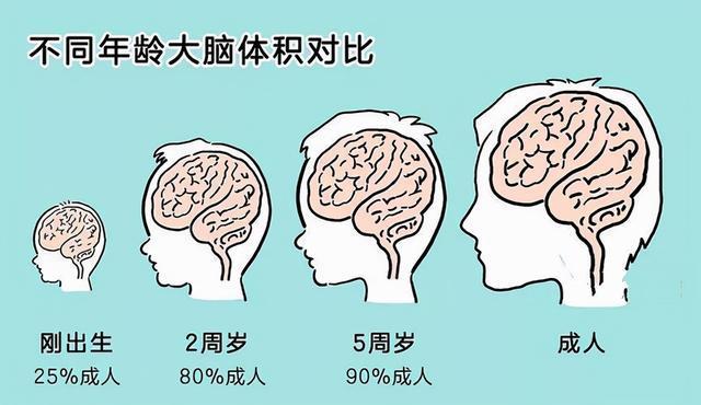 孩子一生中有三次变聪明的机会，家长应该早知道这三个机会