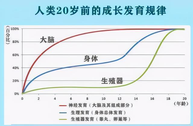 孩子一生中有三次变聪明的机会，家长应该早知道这三个机会