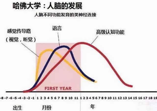 孩子一生中有三次变聪明的机会，家长应该早知道这三个机会