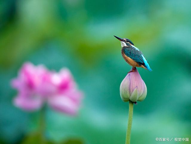 太阳从东边升起，从西边落下，世界的运转规律如此