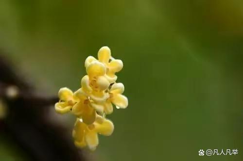 学习是终身的，所谓“活到老，学到老”，就必须用学习来充实自己