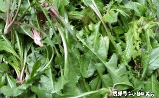 春天吃这几种野菜，可以驱除疾病和痛苦！