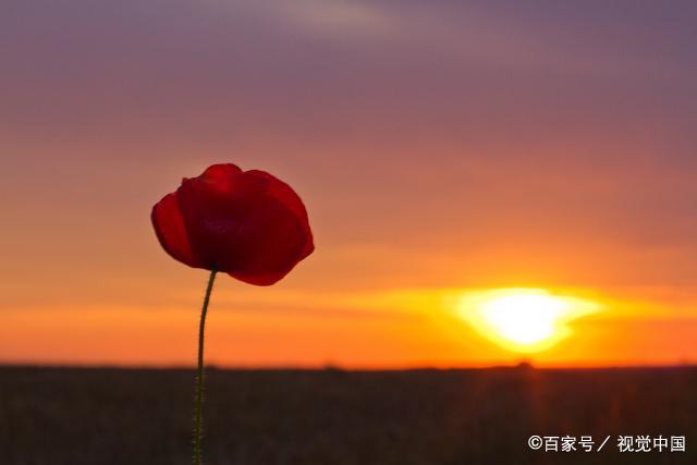 人生苦短，何必太过为难自己