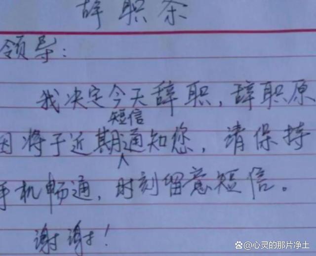 为什么有些学生在毕业后选择了离职？