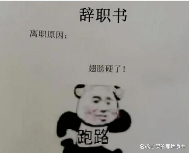 为什么有些学生在毕业后选择了离职？