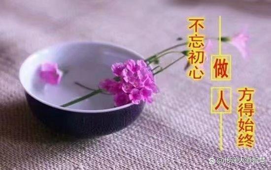 能感叹人生开悟了吗？