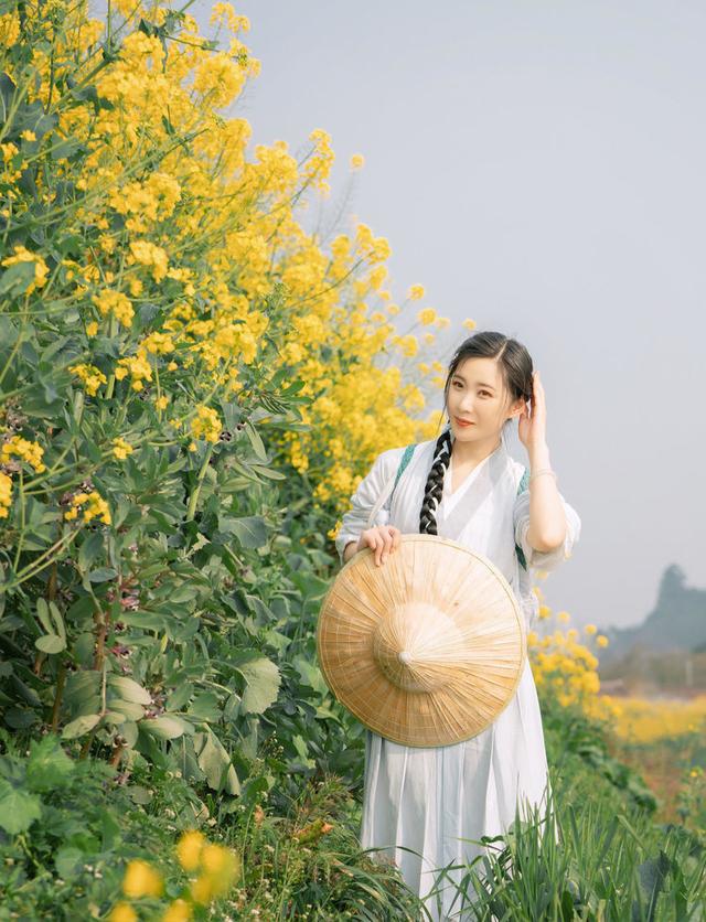 油菜花飘香，明媚了整个春天