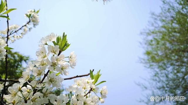 人生最曼妙的风景，其实应该是内心的淡定与从容