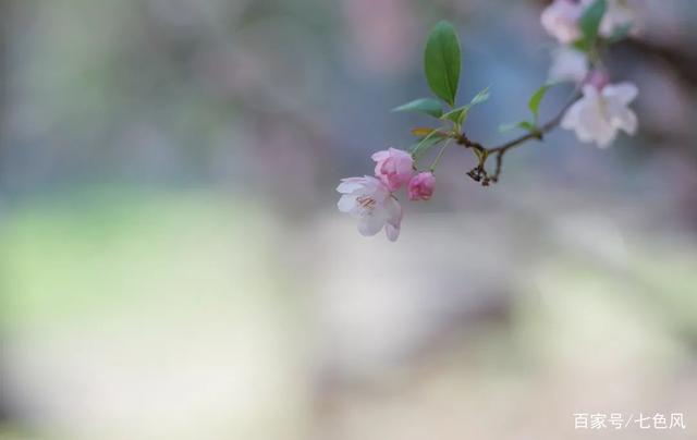 生活的惊喜，永远都在下一个转角