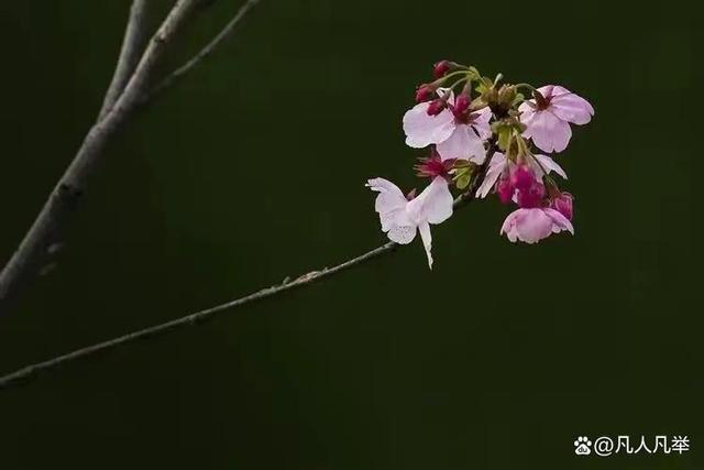 家，才是最温馨之所在