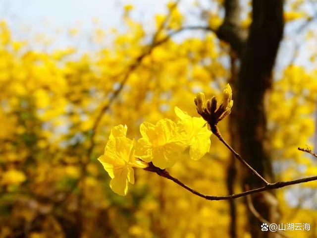 时光如水，在季节此消彼长的草木上