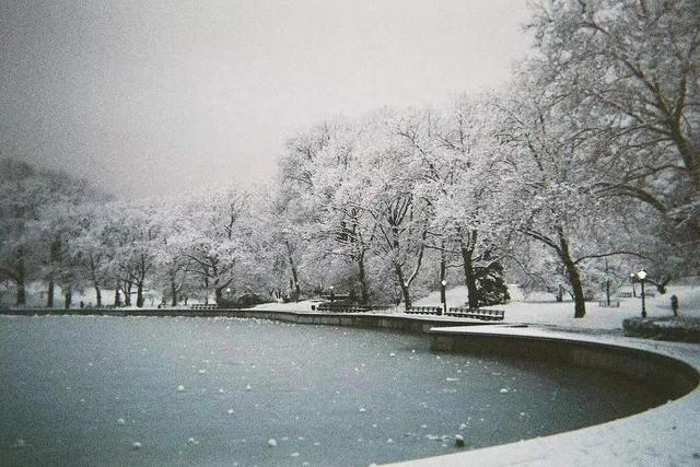 静听春雪，我相信，明天，将是一个不一样的艳阳天