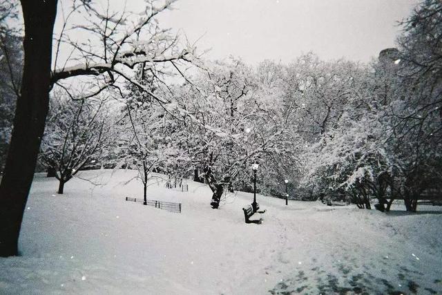 静听春雪，我相信，明天，将是一个不一样的艳阳天