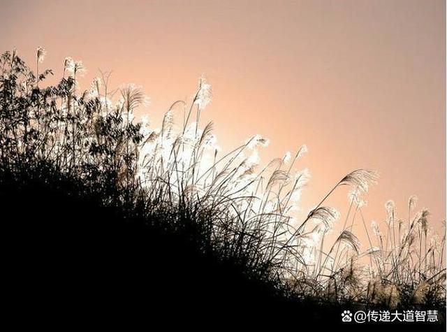 晚上做的梦，是我心灵与思想上的投影