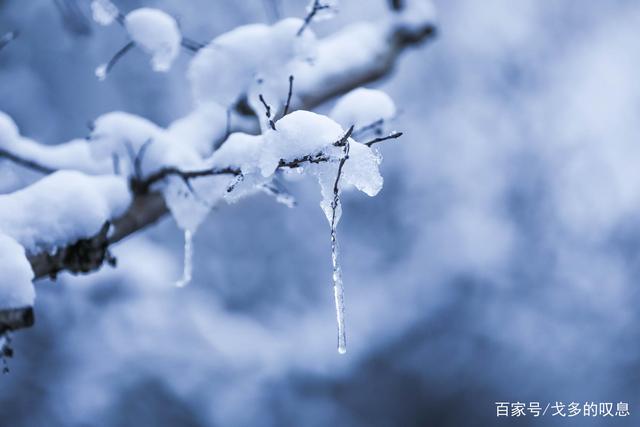 天地生而不有，那才是大公无私，因为它们生的是万物