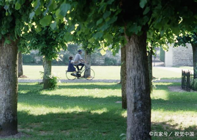 中年人的无奈，只有中年人才懂