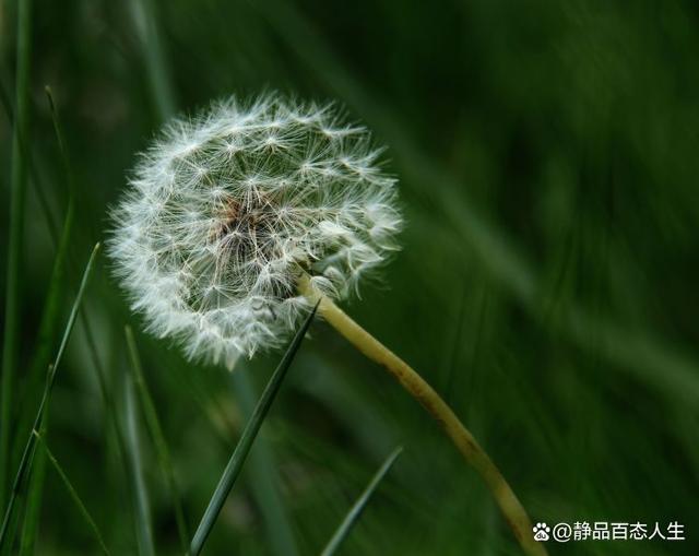 家是心灵的港湾，力量的源泉，是一个让人身心舒畅休息的乐园