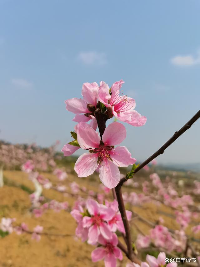 人人都在呼吁要自律，自律可以给自己创造美好的未来