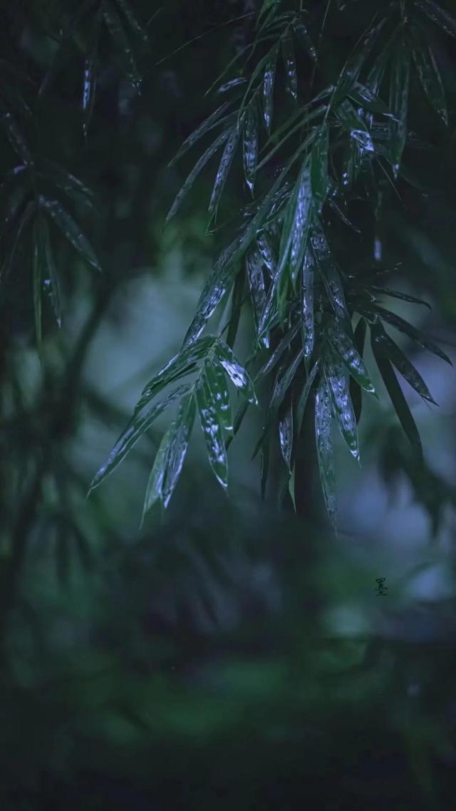 人生，是一场马拉松，而不是拼尽全力的短跑比赛