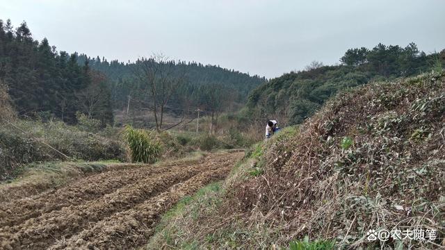 我是你快乐的累赘，既痛又快乐