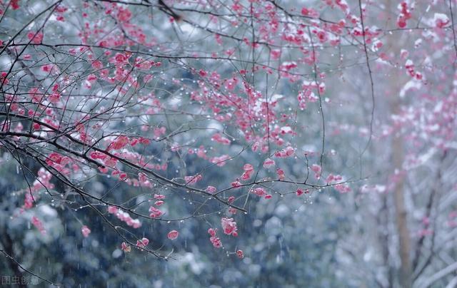 花开为谁思，雨落为谁伤，一场相遇天了情