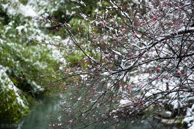 花开为谁思，雨落为谁伤，一场相遇天了情