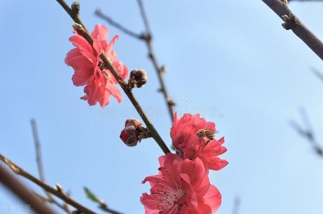 那一缕善，就植在心间，青葱我们的寒年