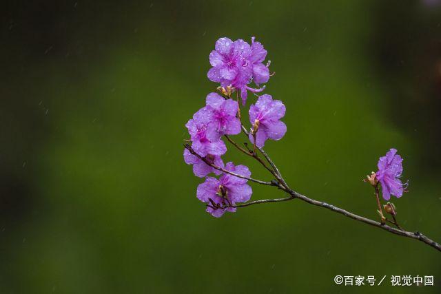 静而不争的女人，活得与众不同