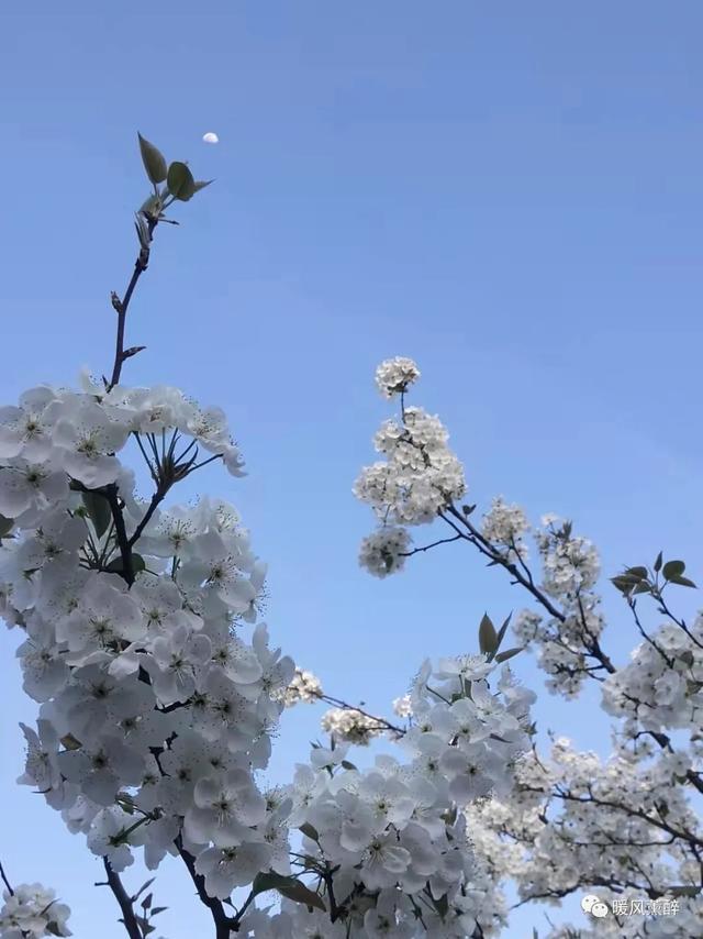 远走高飞了，你的锅谁来接