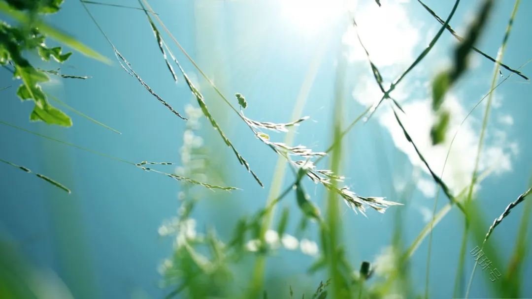 我们已经抵达夏日的终点