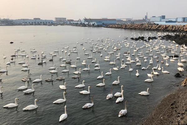 不惧后天，勇敢面对未来