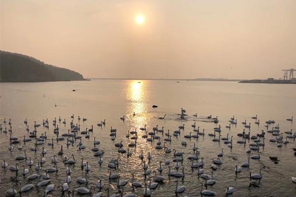 不惧后天，勇敢面对未来