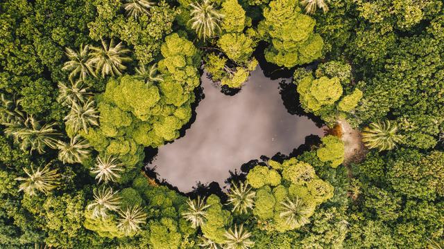 寂寞的青春不是没有幸福，而是我们不懂幸福