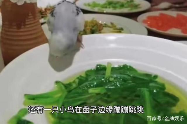 杨丽萍带小鸟用餐惹争议！公众人物连基本的生活常识都没有？
