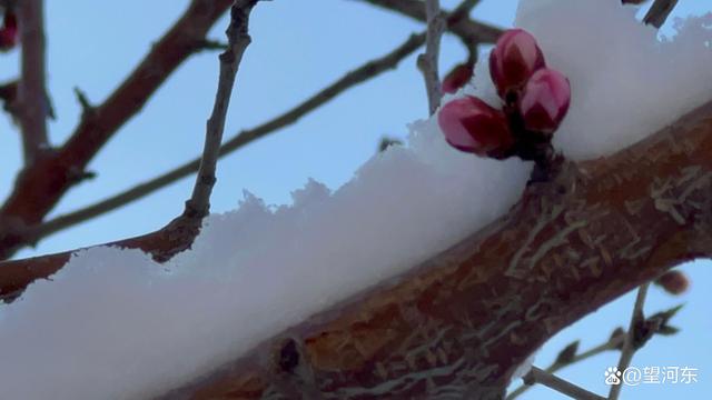 情感务虚浪漫，生活则五味杂陈