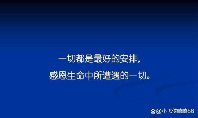 山有顶峰，海有彼岸，一切终有回甘