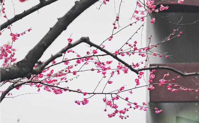 人生在世，想要余生顺遂并不是什么难事