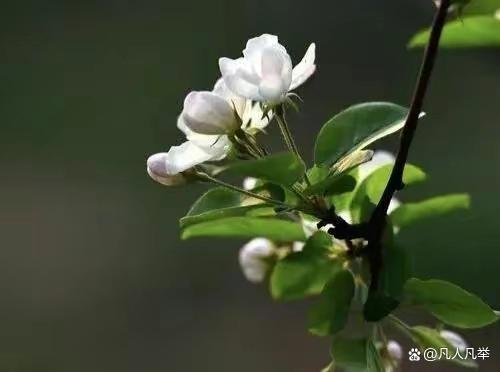 由爱而生的孤独，带着一个人自信满满地一路坚持走下去