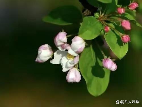 由爱而生的孤独，带着一个人自信满满地一路坚持走下去