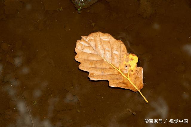 人老了，好好守住自己的钱，别再为了虚荣心，而挥霍钱