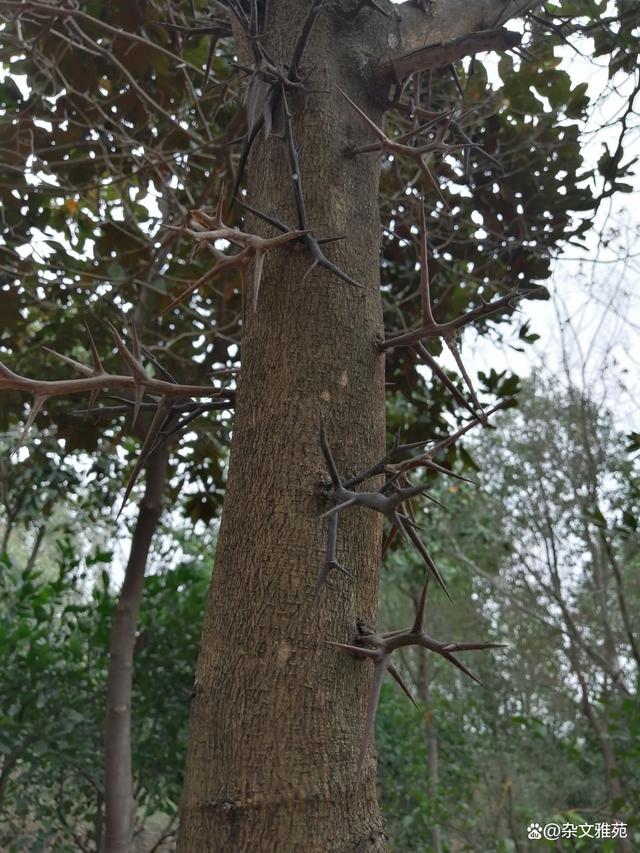 人生旅途是一个驿站地休整，休整就是反省的机会