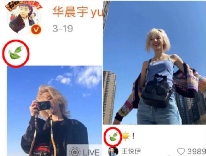 华晨宇和王悦伊恋情曝光，绯闻女友王悦伊晒同款照片